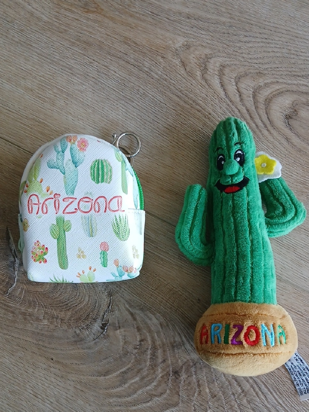 Arizona Memorabilia Suvenior Catcus And Mini Backback